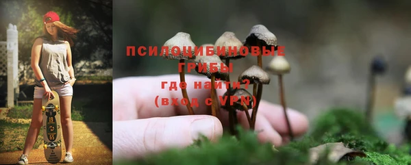 apvp Заводоуковск
