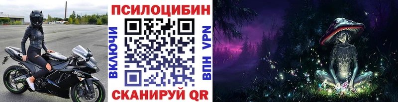 Псилоцибиновые грибы прущие грибы  где найти   Дзержинский 