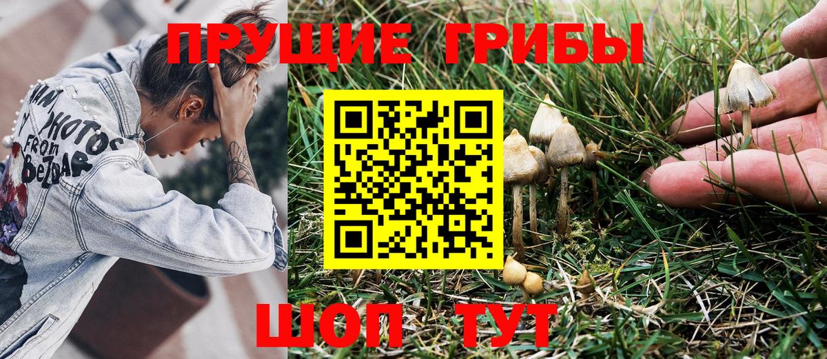 Дзержинский  Псилоцибиновые грибы прущие грибы  Вход с VPN 